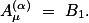 \[A_\mu^{(\alpha)} = B_1.\]