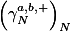 \left(\gamma_{N}^{\bm{a,b},+}\right)_{N} 